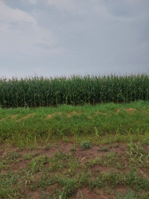 20250712_114826.jpg