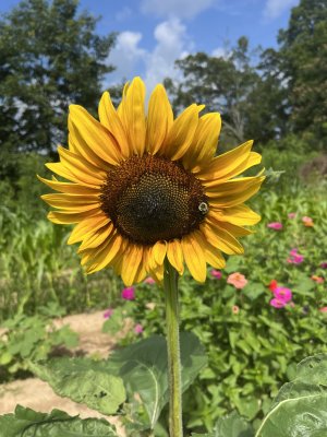 IMG_7620.jpeg