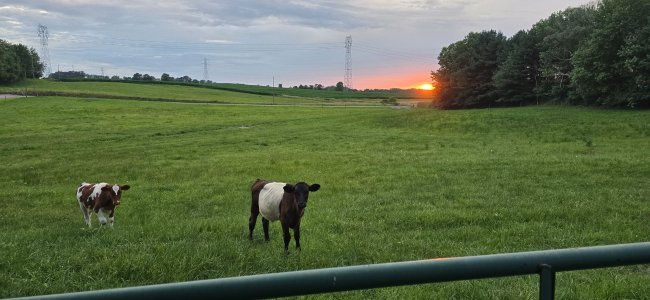 20250712_205019.jpg