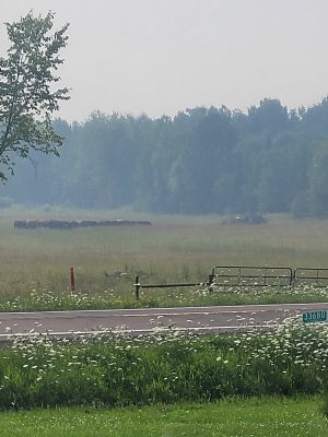 20250729_170325.jpg
