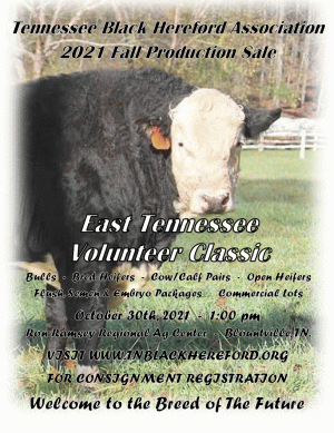 TBHA Fall Production Sale.gif