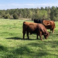 Stone Post Ranch