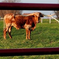 Texas B