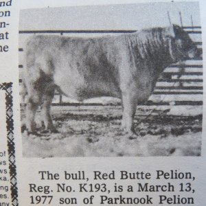 Red Butte Pelion (4).jpg