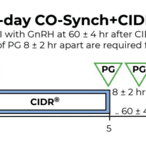 5day_cidr.PNG