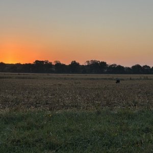 IMG_3364.jpeg