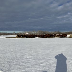 IMG_0072.jpeg