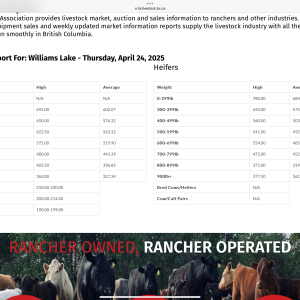 Media 'IMG_0876.png' in category 'Cattle Sales'