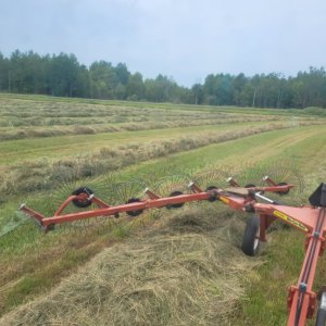 Media '20250702_134335.jpg' in category 'Grasses, Pastures and Hay'