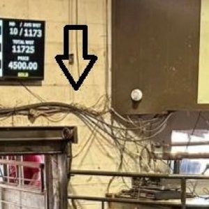 cablmess.jpg
