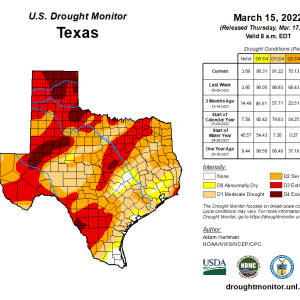 Texas Drought Monitor 03172022.png