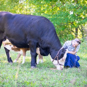 2022_08 Pleasant Photography by Naomi Parfitt-Omi and cows-2-2.jpg