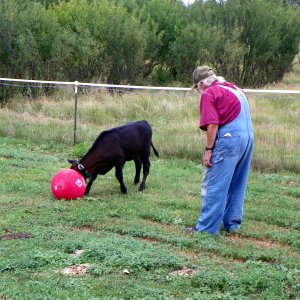 08-12-23 Joe and the ball 11.JPG